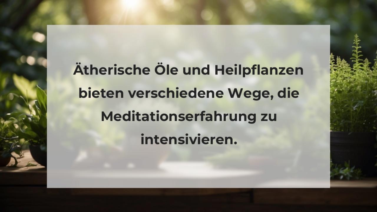 Ätherische Öle und Heilpflanzen bieten verschiedene Wege, die Meditationserfahrung zu intensivieren.