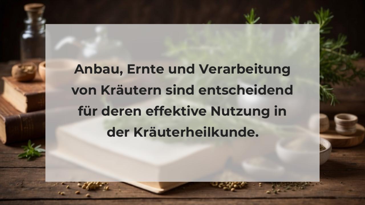 Anbau, Ernte und Verarbeitung von Kräutern sind entscheidend für deren effektive Nutzung in der Kräuterheilkunde.