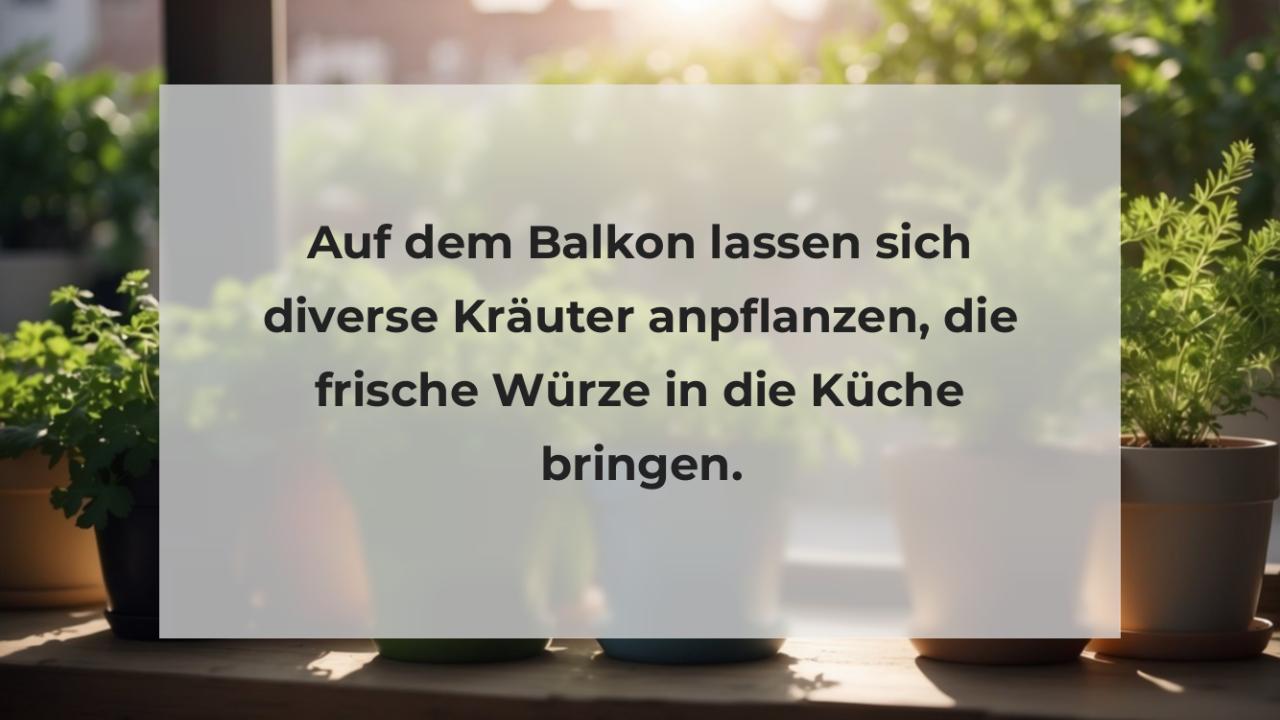 Auf dem Balkon lassen sich diverse Kräuter anpflanzen, die frische Würze in die Küche bringen.