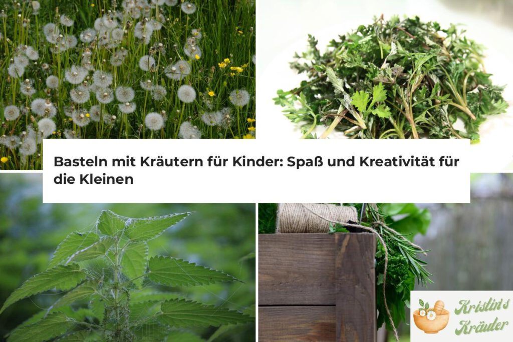 Basteln mit Kräutern für Kinder