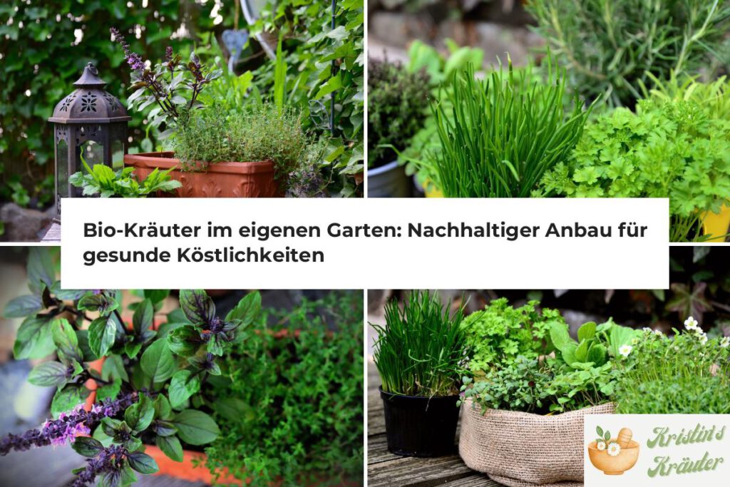 Bio-Kräuter im eigenen Garten