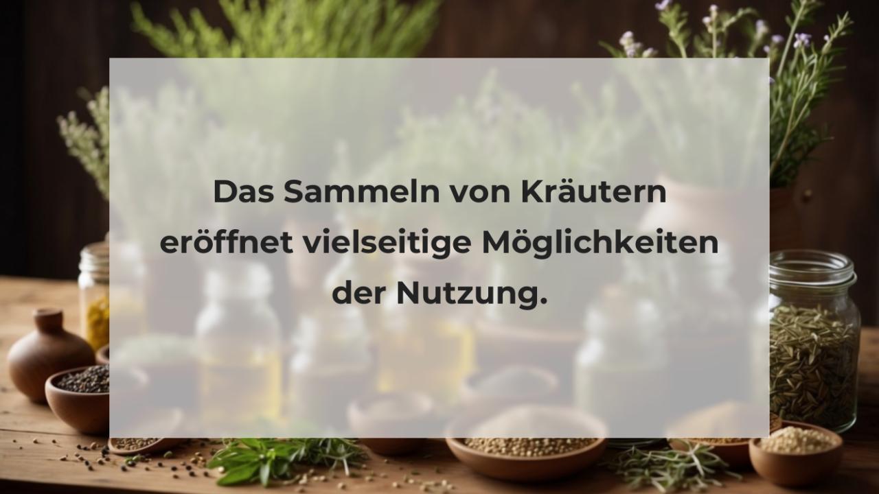 Das Sammeln von Kräutern eröffnet vielseitige Möglichkeiten der Nutzung.