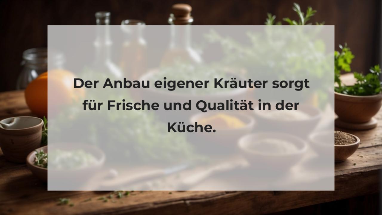 Der Anbau eigener Kräuter sorgt für Frische und Qualität in der Küche.