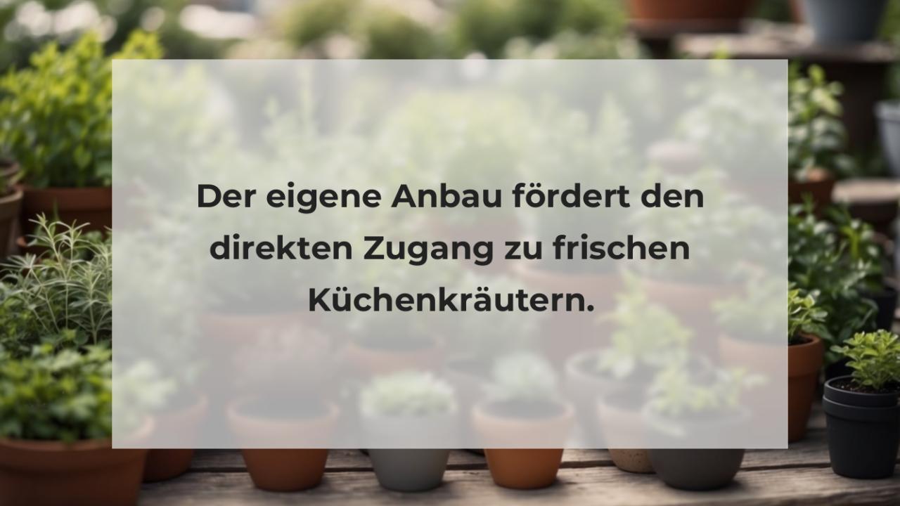 Der eigene Anbau fördert den direkten Zugang zu frischen Küchenkräutern.