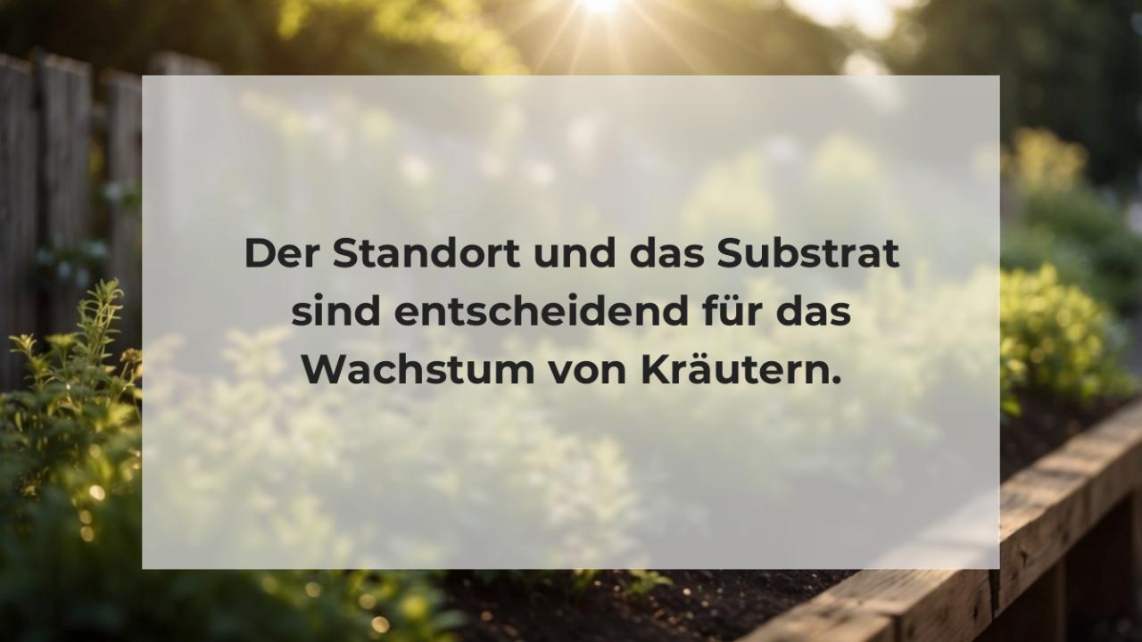 Der Standort und das Substrat sind entscheidend für das Wachstum von Kräutern.