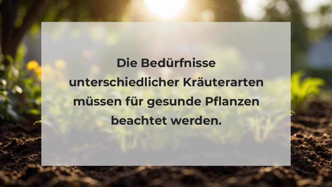 Die Bedürfnisse unterschiedlicher Kräuterarten müssen für gesunde Pflanzen beachtet werden.