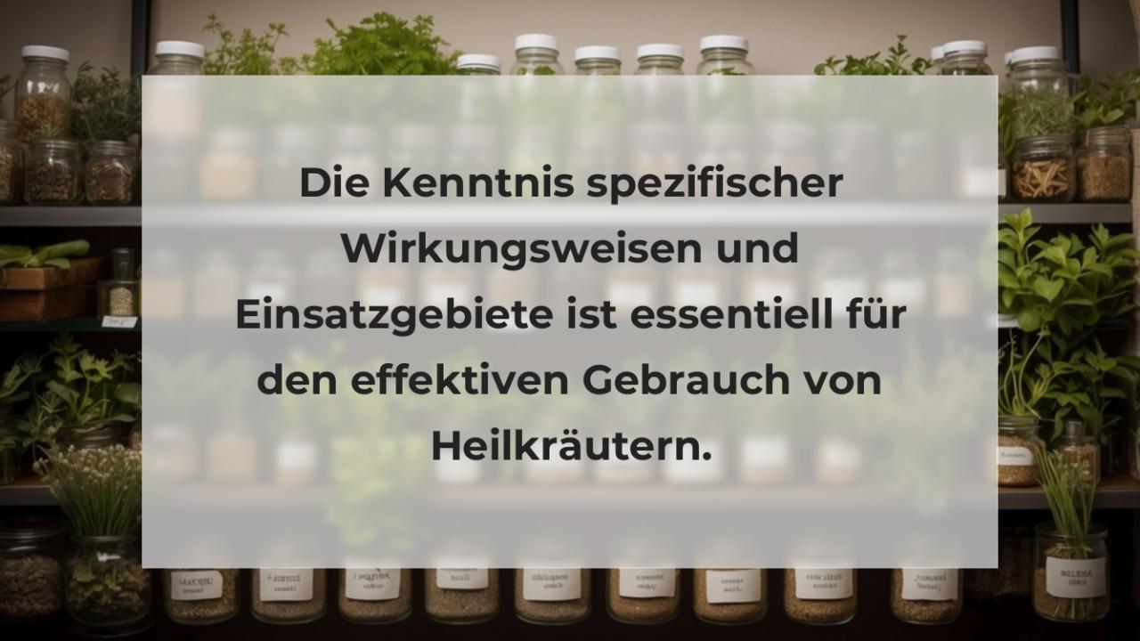 Die Kenntnis spezifischer Wirkungsweisen und Einsatzgebiete ist essentiell für den effektiven Gebrauch von Heilkräutern.