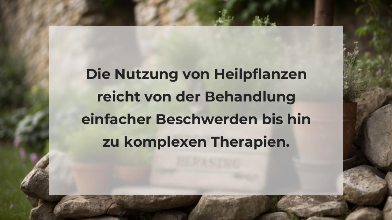 Die Nutzung von Heilpflanzen reicht von der Behandlung einfacher Beschwerden bis hin zu komplexen Therapien.