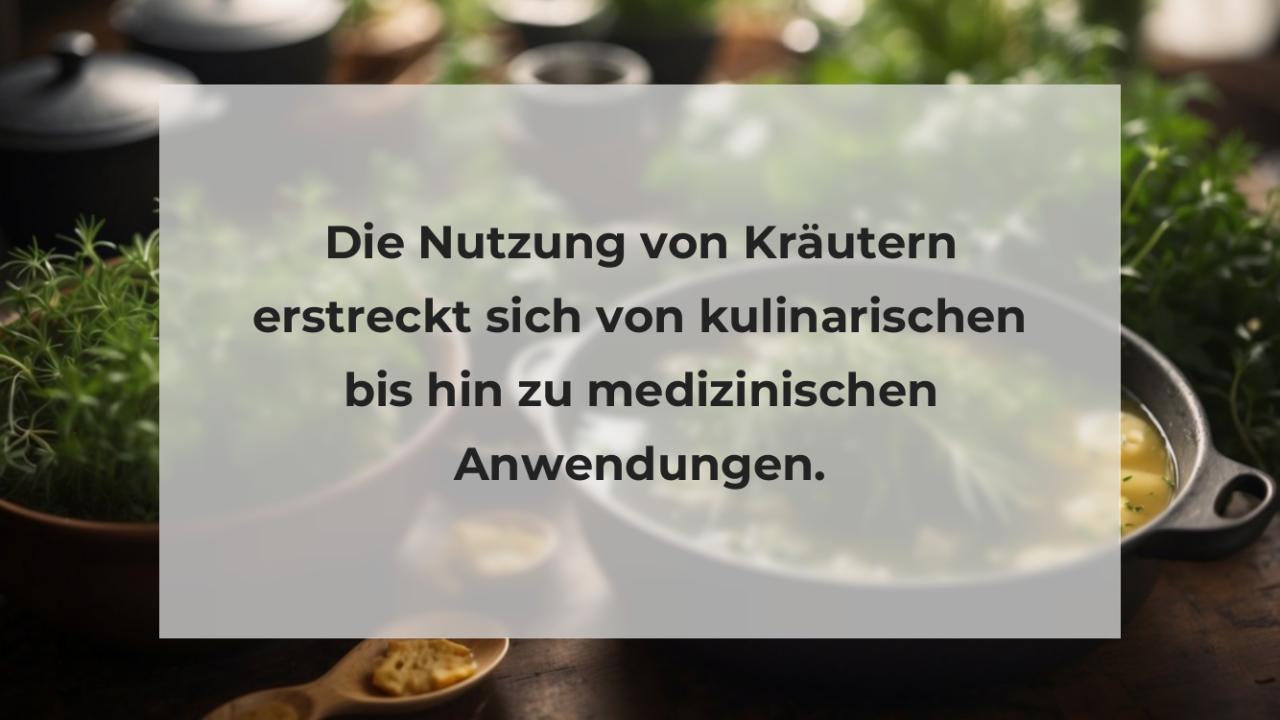 Die Nutzung von Kräutern erstreckt sich von kulinarischen bis hin zu medizinischen Anwendungen.