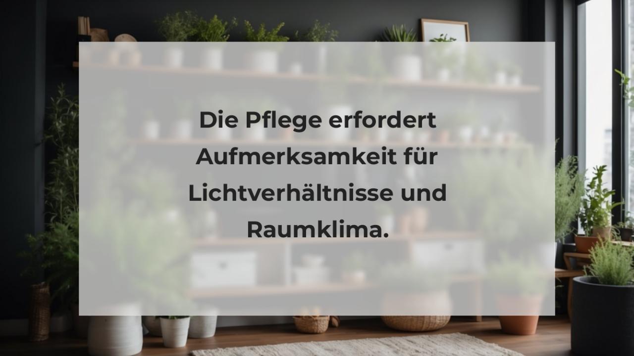 Die Pflege erfordert Aufmerksamkeit für Lichtverhältnisse und Raumklima.