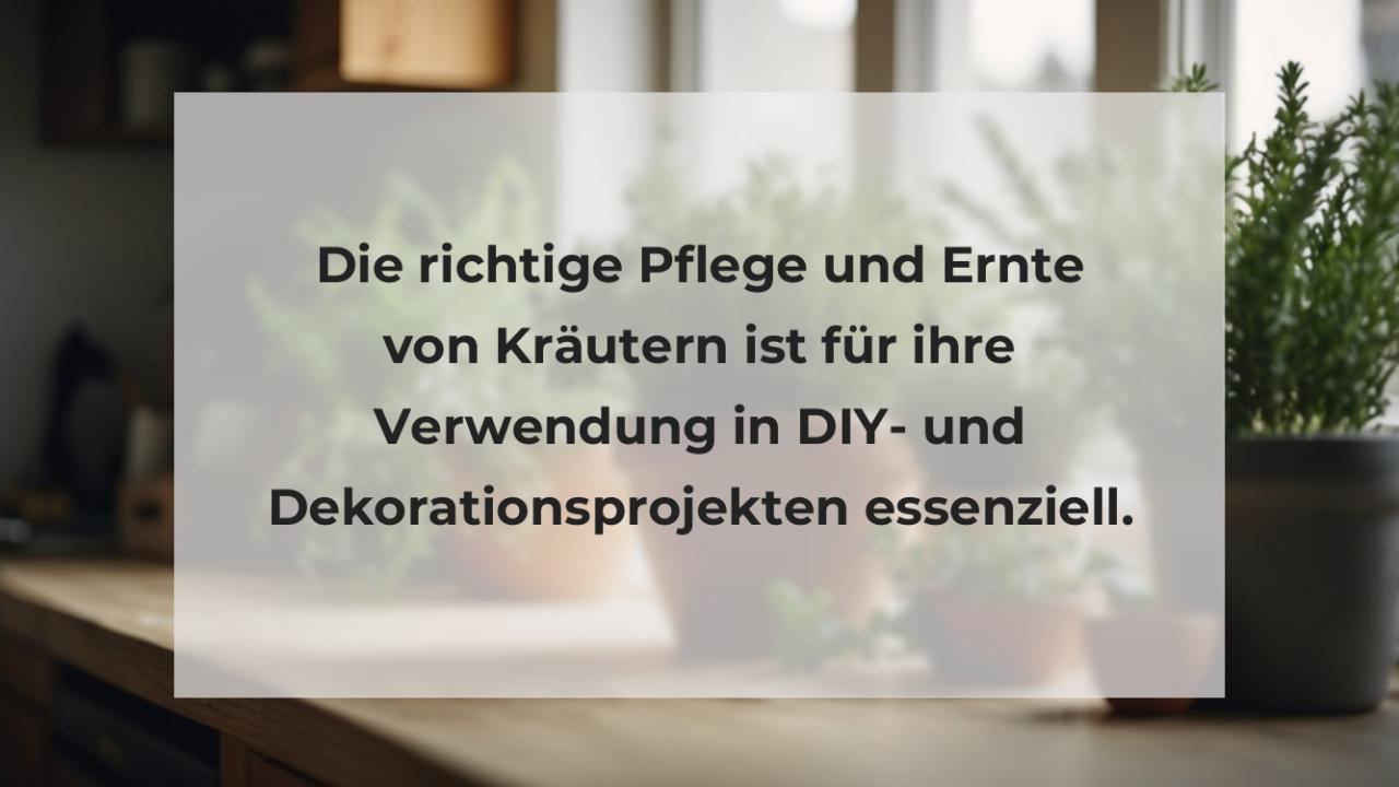 Die richtige Pflege und Ernte von Kräutern ist für ihre Verwendung in DIY- und Dekorationsprojekten essenziell.