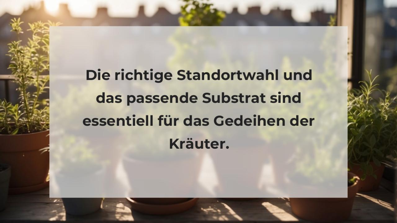 Die richtige Standortwahl und das passende Substrat sind essentiell für das Gedeihen der Kräuter.