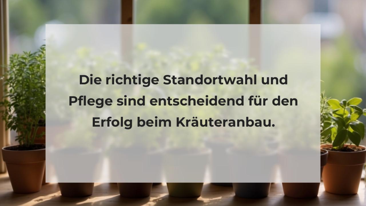 Die richtige Standortwahl und Pflege sind entscheidend für den Erfolg beim Kräuteranbau.