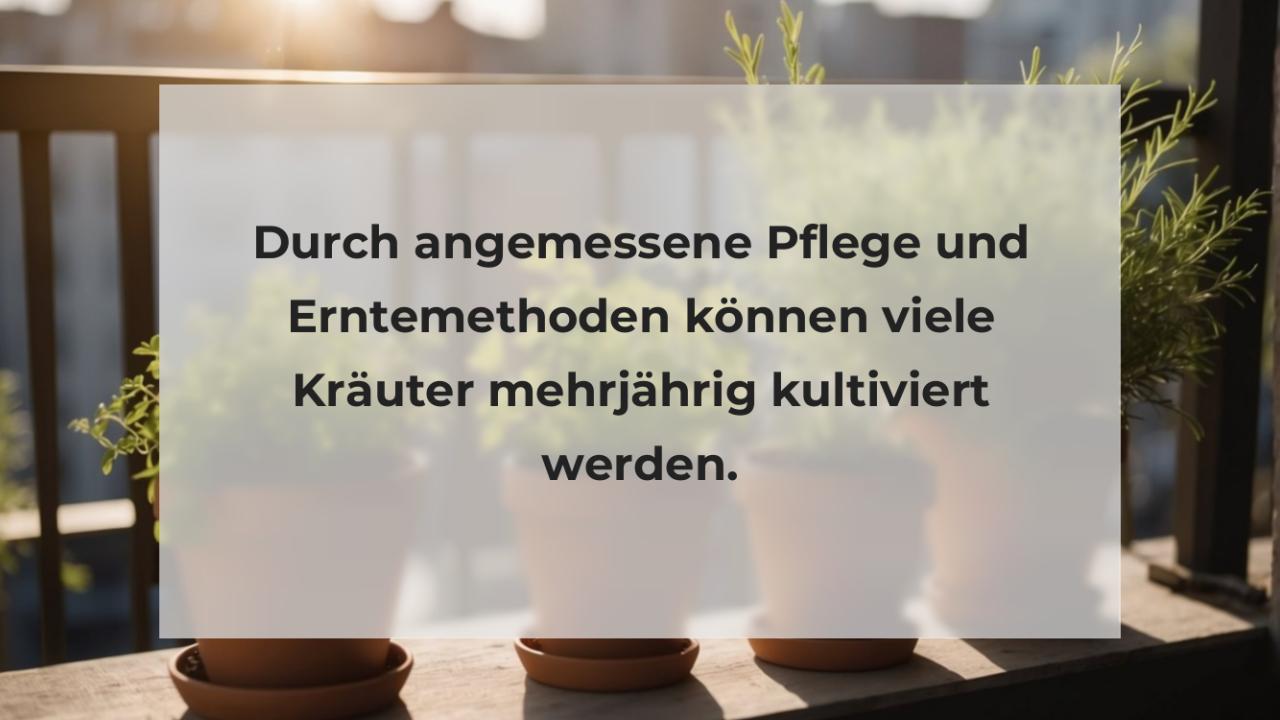 Durch angemessene Pflege und Erntemethoden können viele Kräuter mehrjährig kultiviert werden.