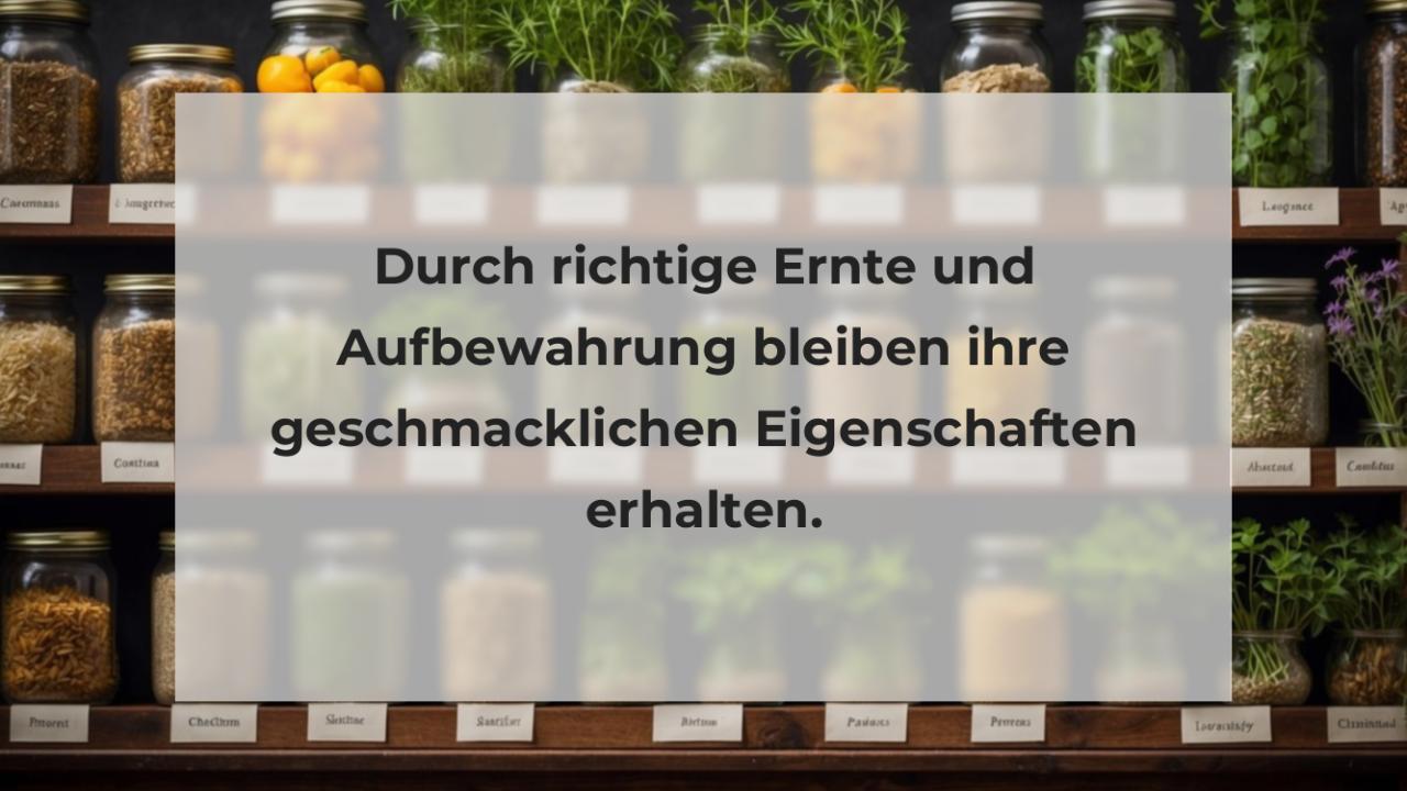 Durch richtige Ernte und Aufbewahrung bleiben ihre geschmacklichen Eigenschaften erhalten.