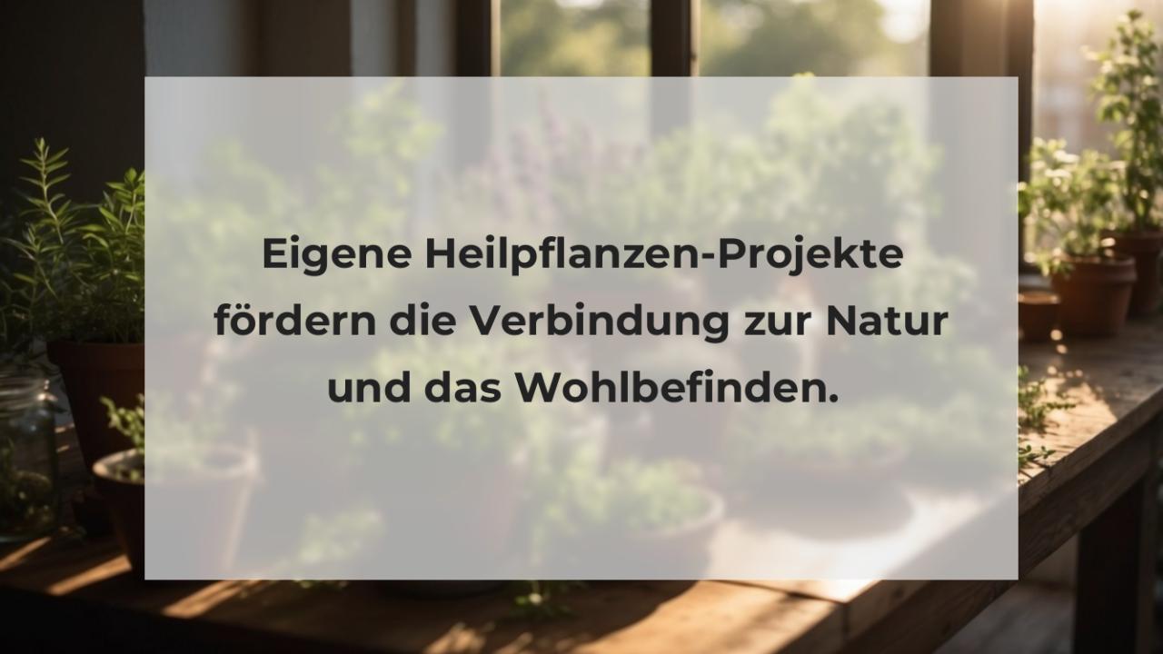 Eigene Heilpflanzen-Projekte fördern die Verbindung zur Natur und das Wohlbefinden.