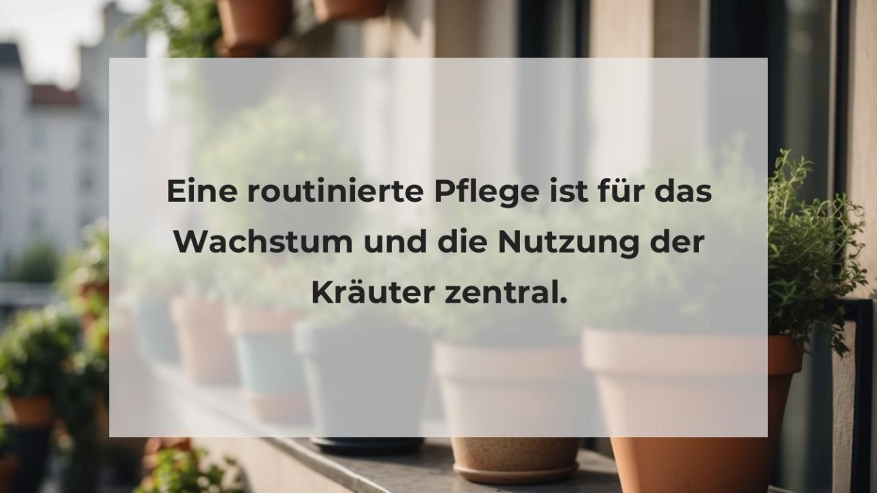 Eine routinierte Pflege ist für das Wachstum und die Nutzung der Kräuter zentral.