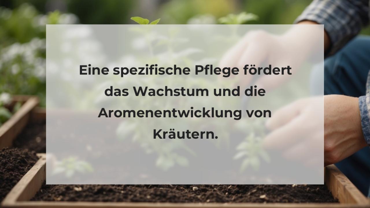 Eine spezifische Pflege fördert das Wachstum und die Aromenentwicklung von Kräutern.