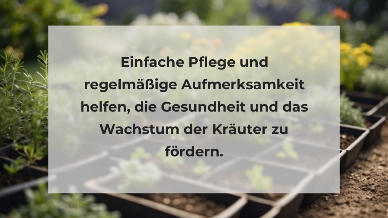 Einfache Pflege und regelmäßige Aufmerksamkeit helfen, die Gesundheit und das Wachstum der Kräuter zu fördern.