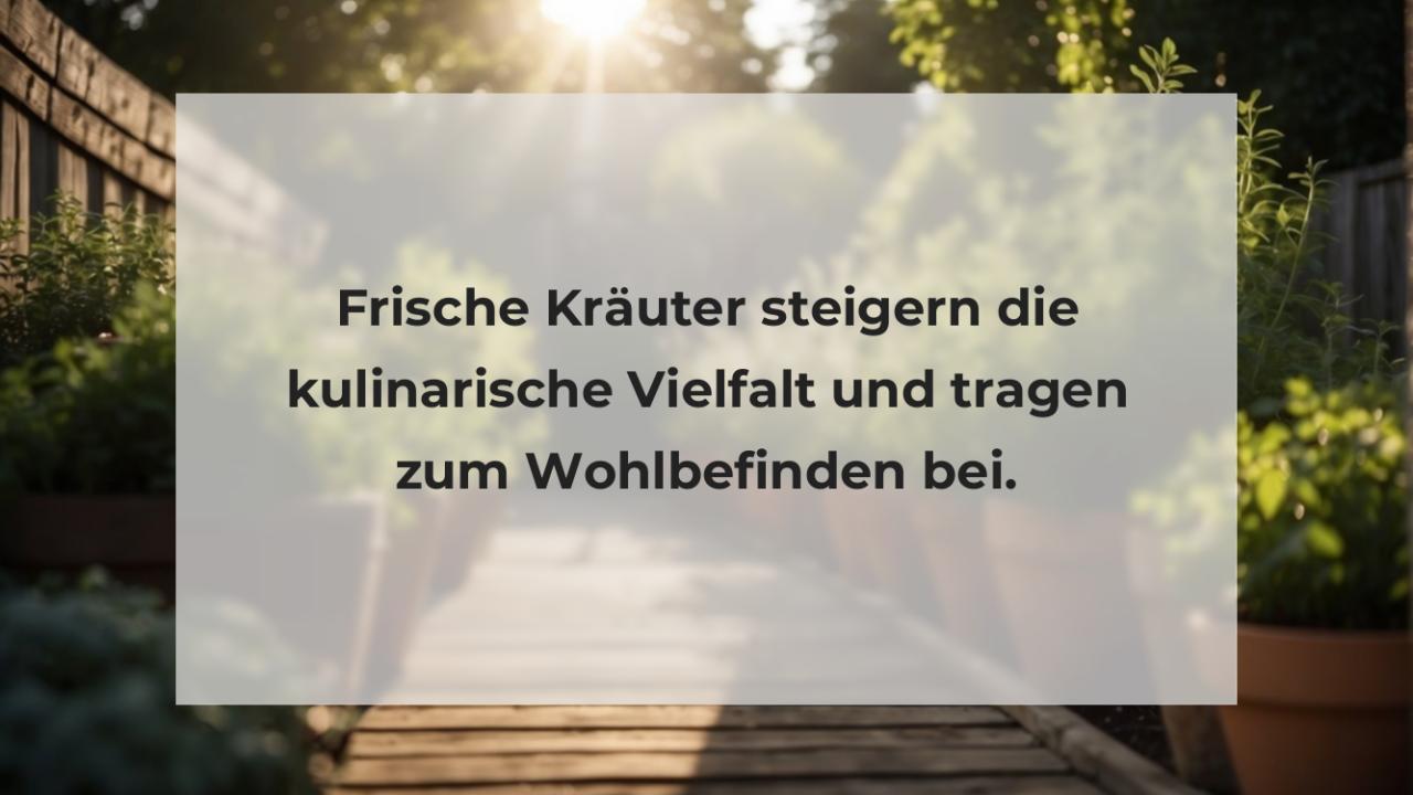 Frische Kräuter steigern die kulinarische Vielfalt und tragen zum Wohlbefinden bei.