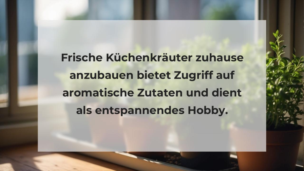 Frische Küchenkräuter zuhause anzubauen bietet Zugriff auf aromatische Zutaten und dient als entspannendes Hobby.