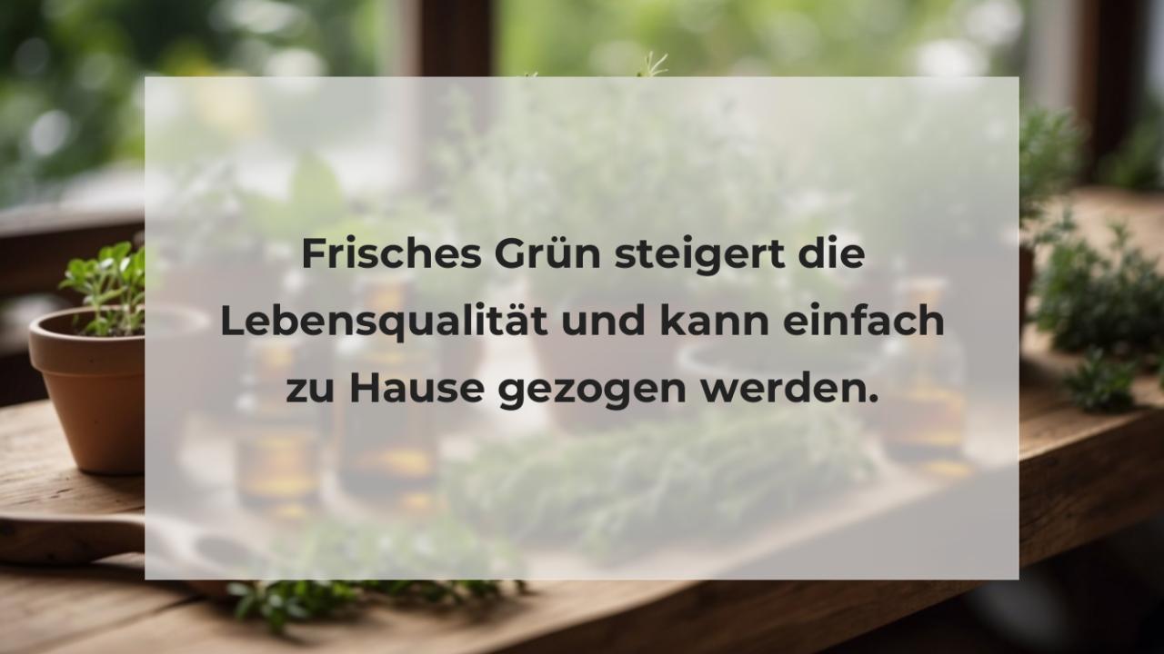 Frisches Grün steigert die Lebensqualität und kann einfach zu Hause gezogen werden.