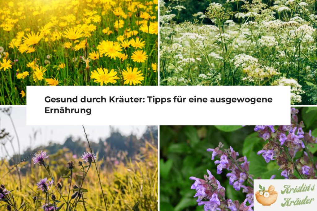 Kräuter für eine gesunde Ernährung