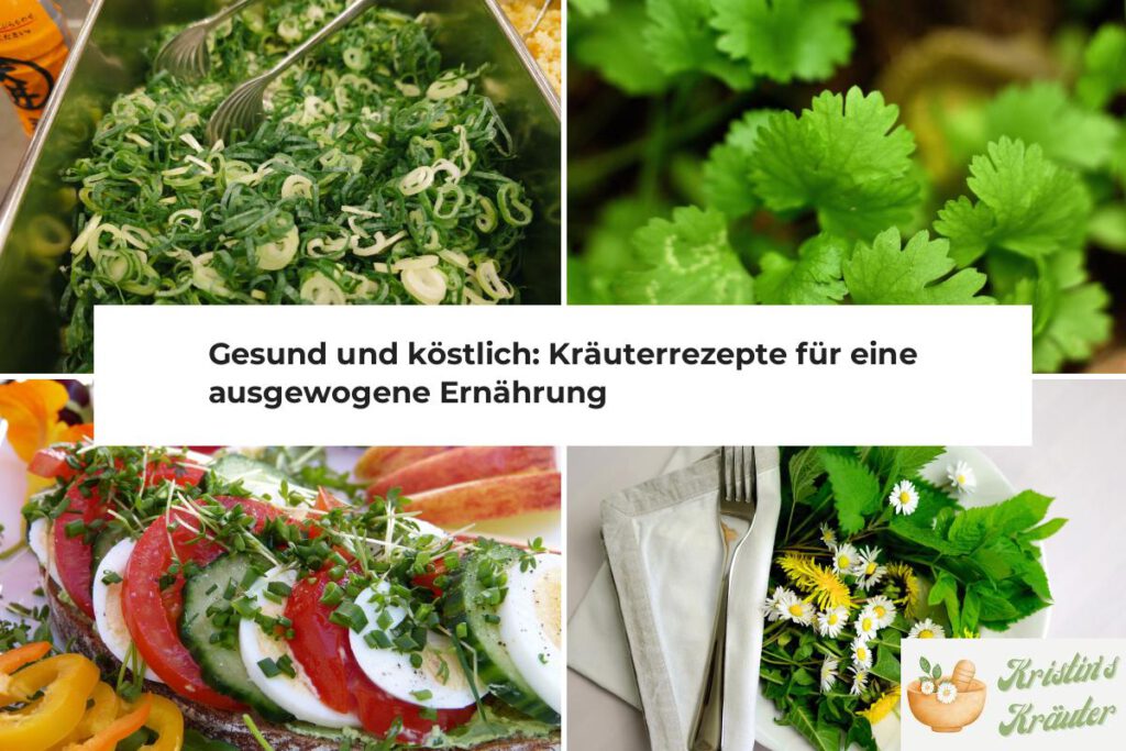 Gesunde Kräuterrezepte