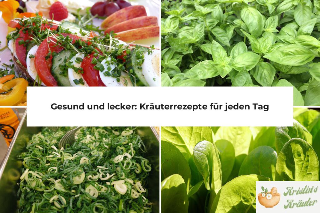 Gesunde Kräuterrezepte für jeden Tag