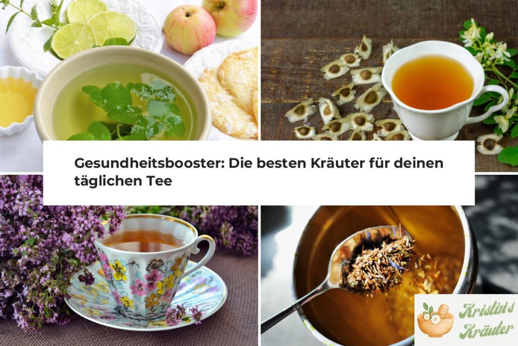 Gesundheitsbooster Kräuter