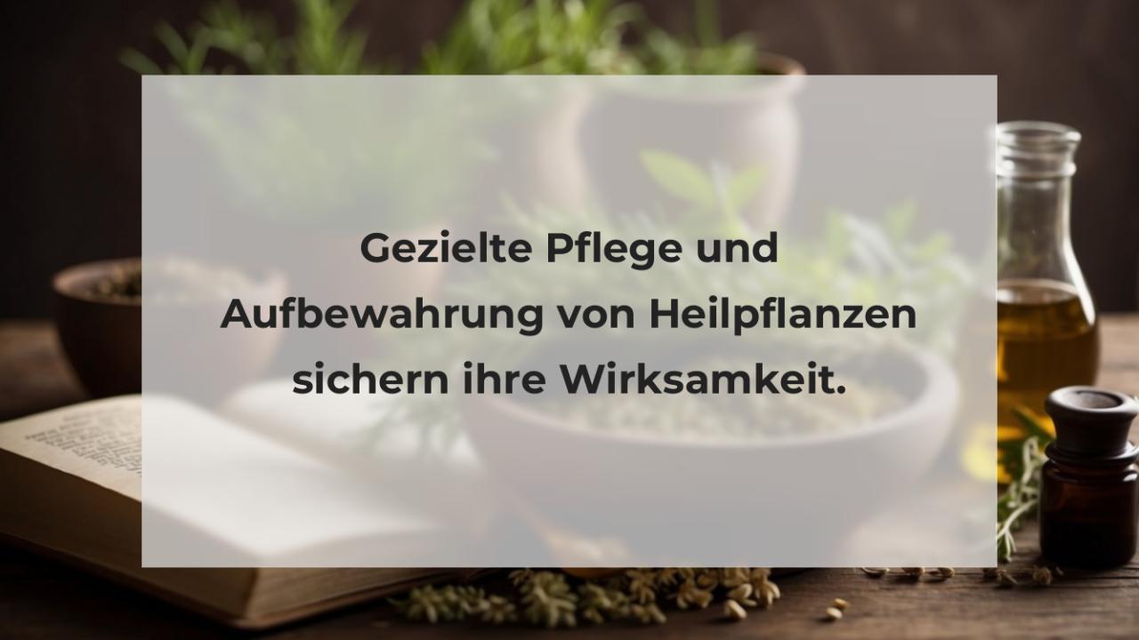 Gezielte Pflege und Aufbewahrung von Heilpflanzen sichern ihre Wirksamkeit.