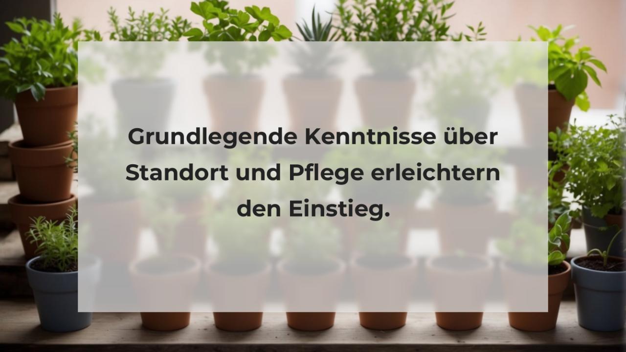 Grundlegende Kenntnisse über Standort und Pflege erleichtern den Einstieg.