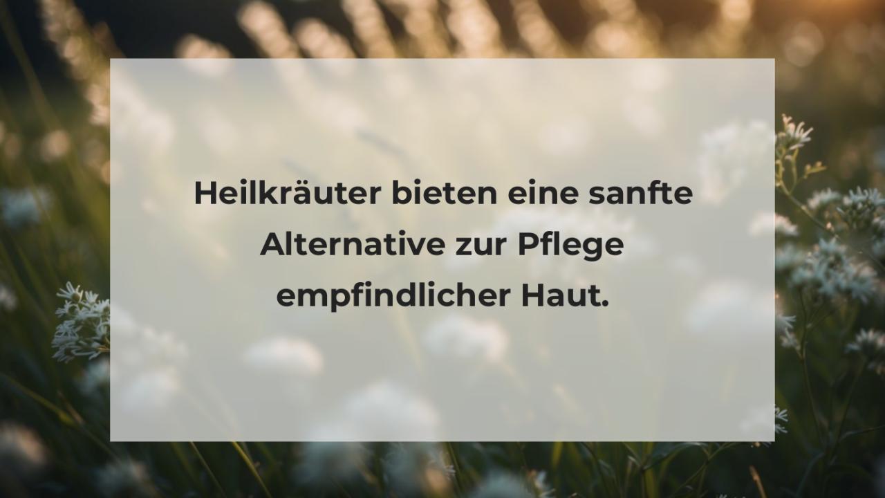 Heilkräuter bieten eine sanfte Alternative zur Pflege empfindlicher Haut.