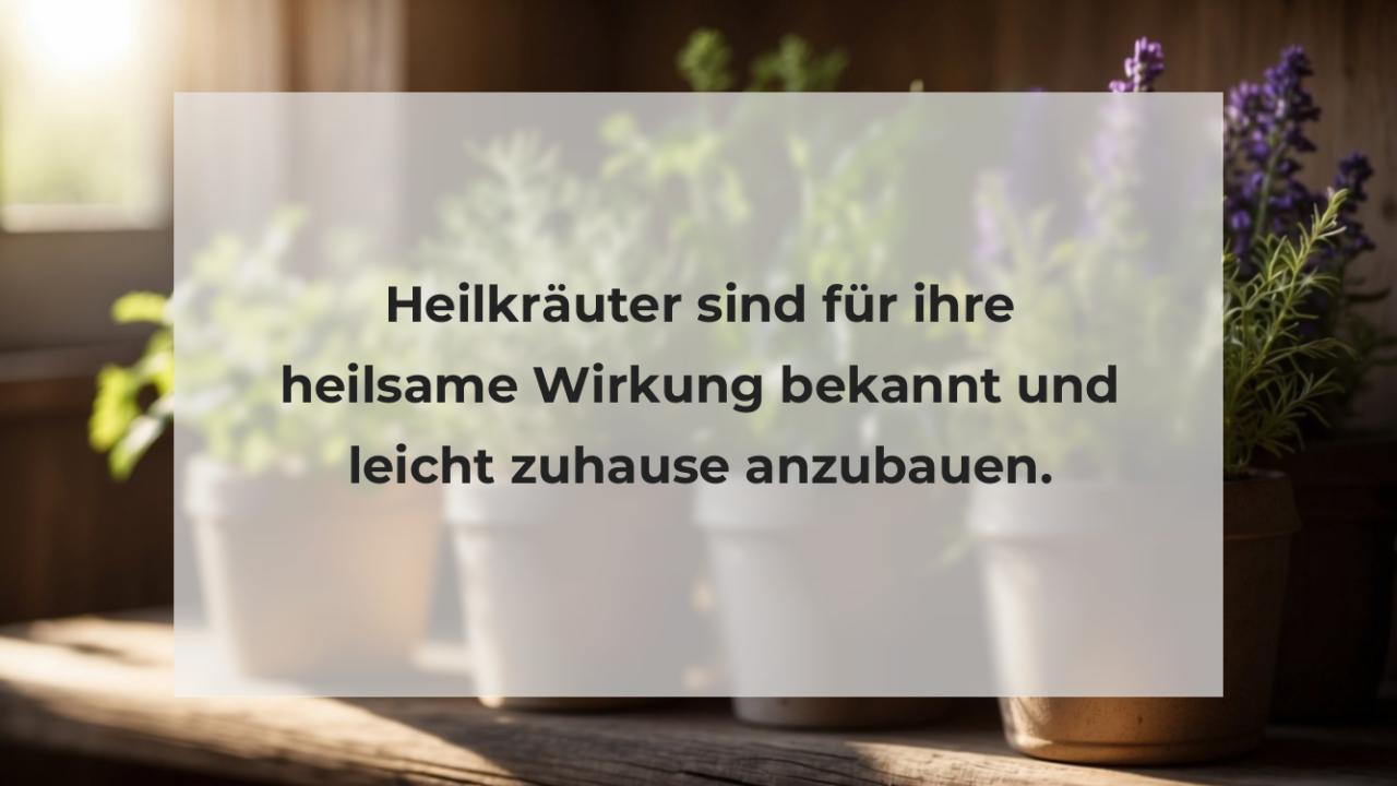 Heilkräuter sind für ihre heilsame Wirkung bekannt und leicht zuhause anzubauen.