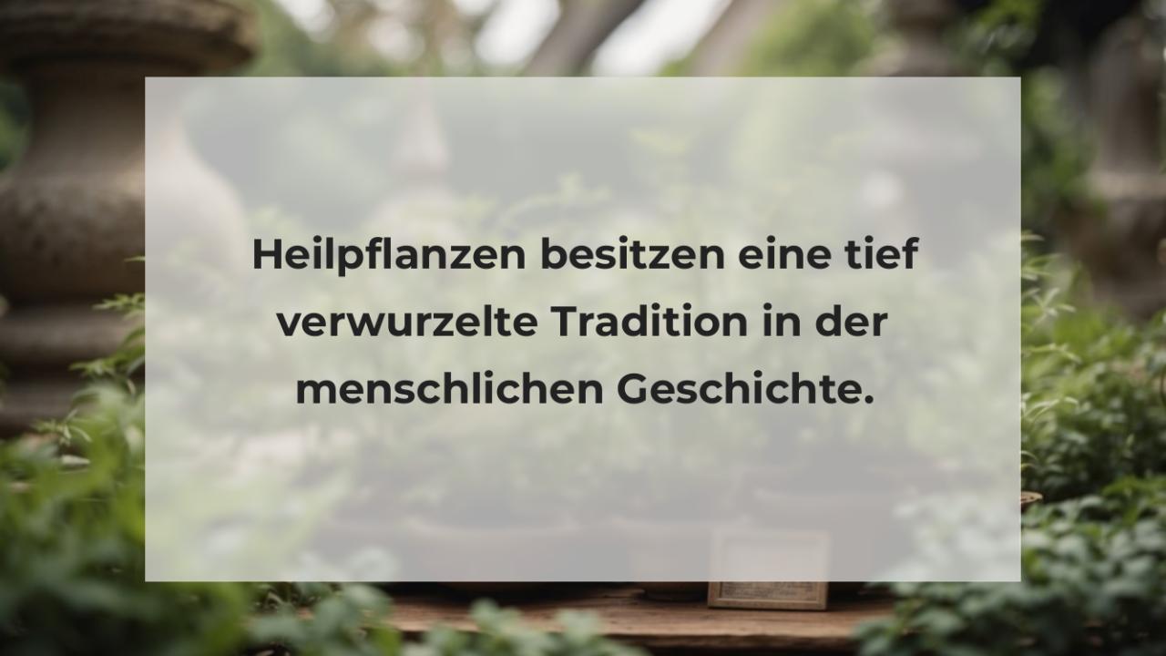 Heilpflanzen besitzen eine tief verwurzelte Tradition in der menschlichen Geschichte.