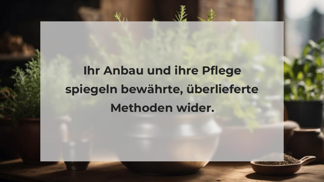 Ihr Anbau und ihre Pflege spiegeln bewährte, überlieferte Methoden wider.