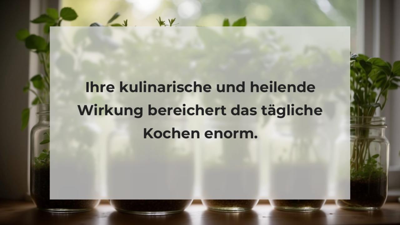 Ihre kulinarische und heilende Wirkung bereichert das tägliche Kochen enorm.