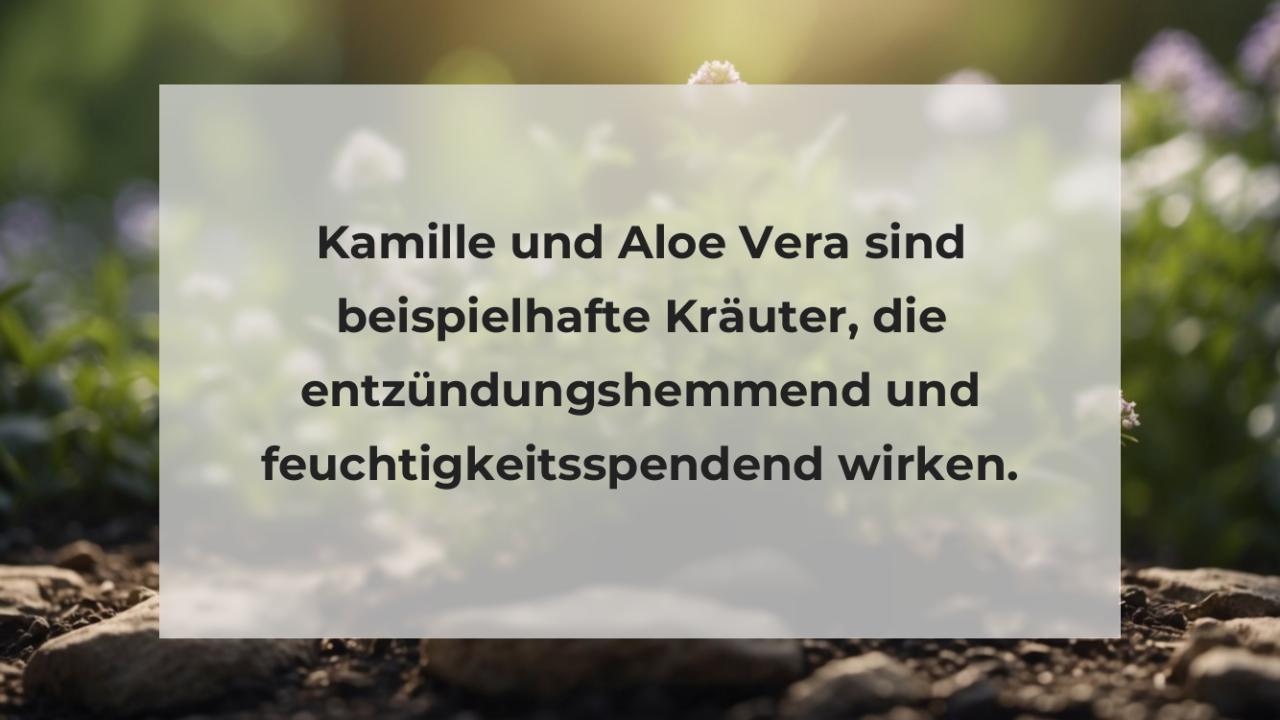 Kamille und Aloe Vera sind beispielhafte Kräuter, die entzündungshemmend und feuchtigkeitsspendend wirken.