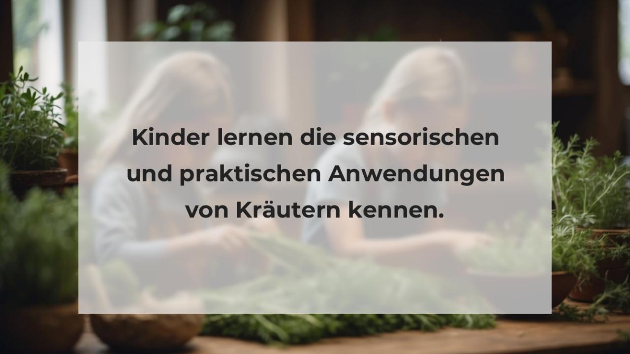 Kinder lernen die sensorischen und praktischen Anwendungen von Kräutern kennen.