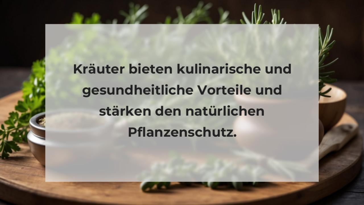 Kräuter bieten kulinarische und gesundheitliche Vorteile und stärken den natürlichen Pflanzenschutz.