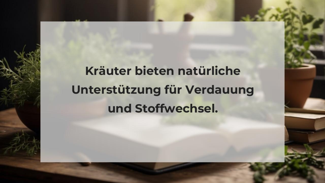 Kräuter bieten natürliche Unterstützung für Verdauung und Stoffwechsel.