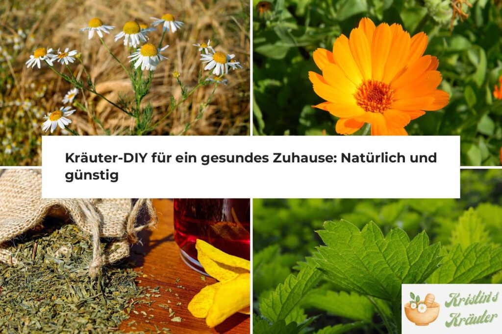 Kräuter-DIY für ein gesundes Zuhause