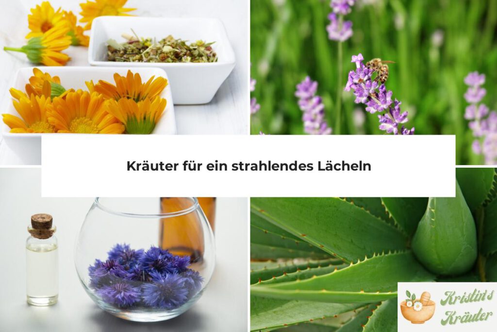 kräuter für ein strahlendes lächeln