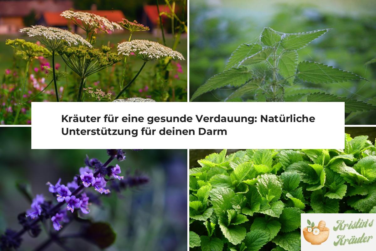 Herbals Diffuser Mullein Stift - Natürlicher Lungenreiniger Kräuter