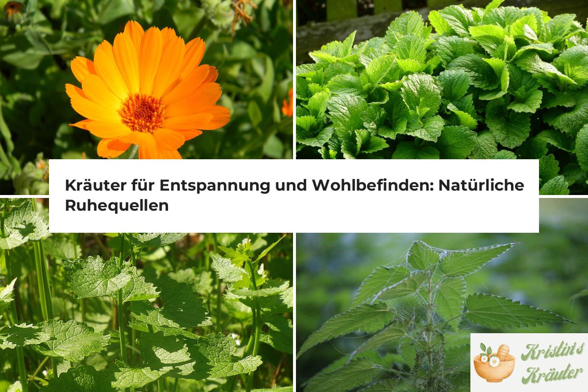 Corine De Farme Badesalz Mit Aloe Vera | Entspannend & Feuchtigkeitsspendend | 100% Natürliche Inhaltsstoffe