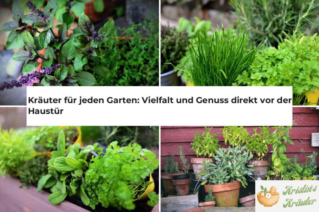 Kräuter für jeden Garten