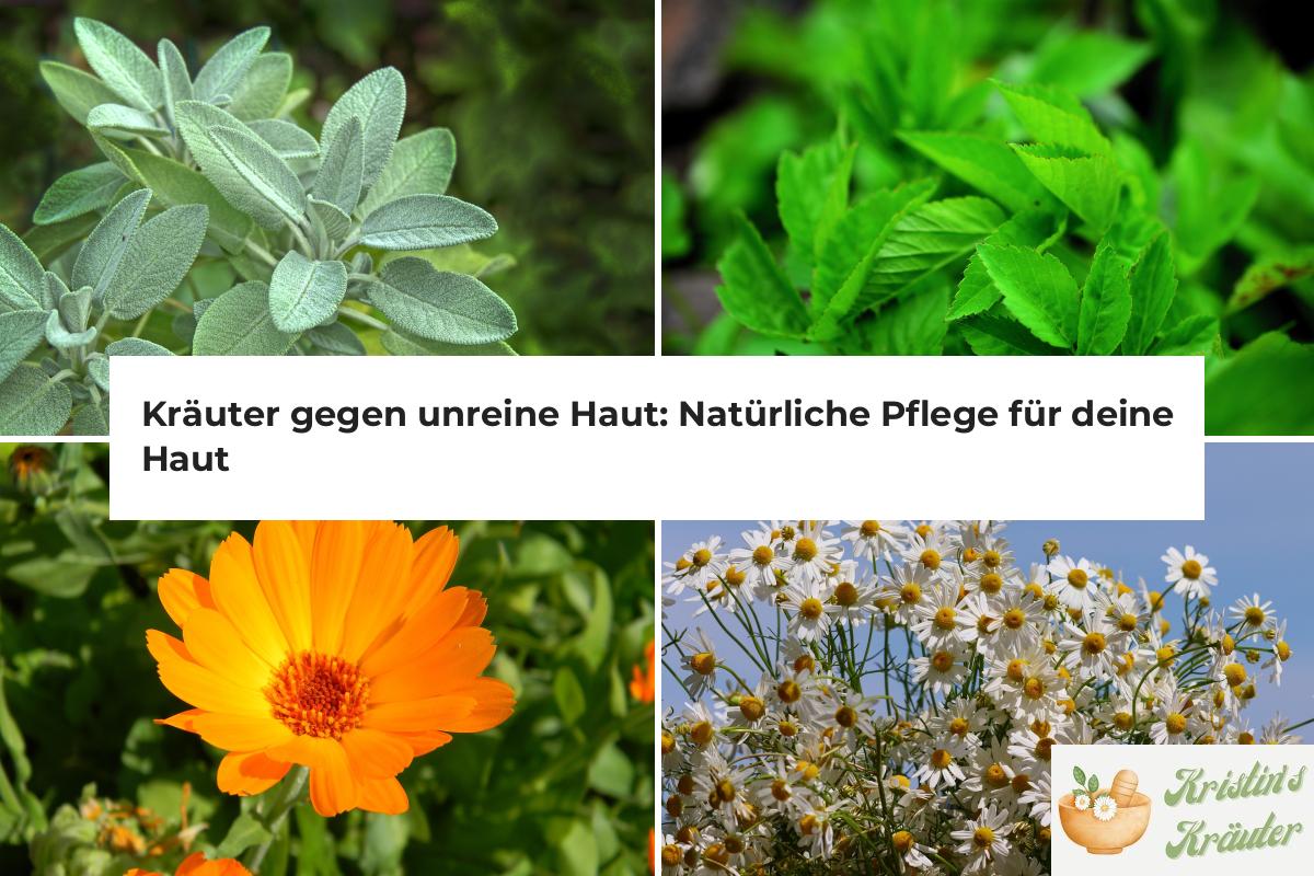 Mullein Kräuter Diffuser Stifte - 4 Stück Lungenreiniger Inhalator Natürliche Kräuter