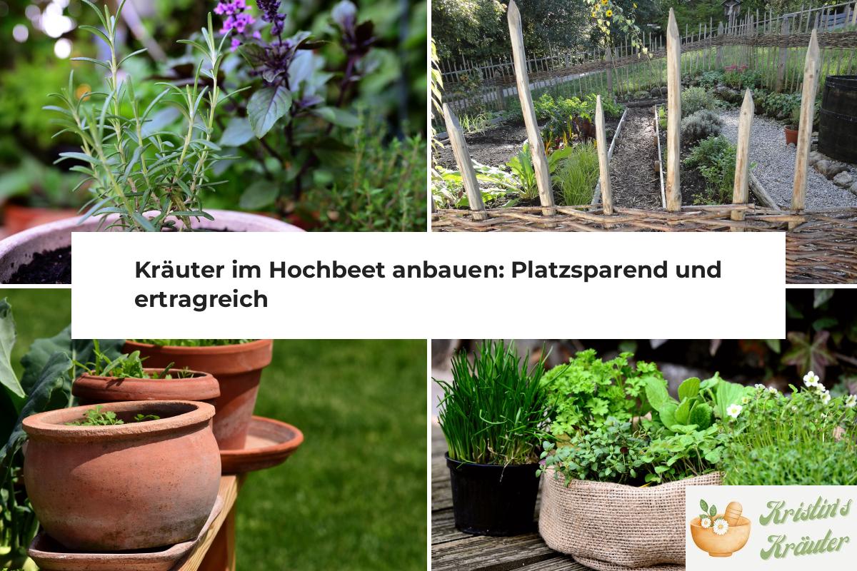 Kräuter im Hochbeet anbauen Platzsparend und ertragreich Kristin's