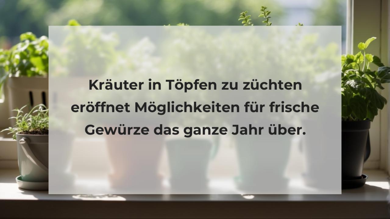 Kräuter in Töpfen zu züchten eröffnet Möglichkeiten für frische Gewürze das ganze Jahr über.