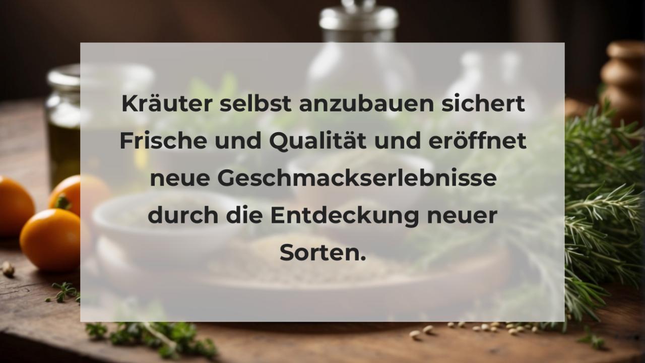 Kräuter selbst anzubauen sichert Frische und Qualität und eröffnet neue Geschmackserlebnisse durch die Entdeckung neuer Sorten.